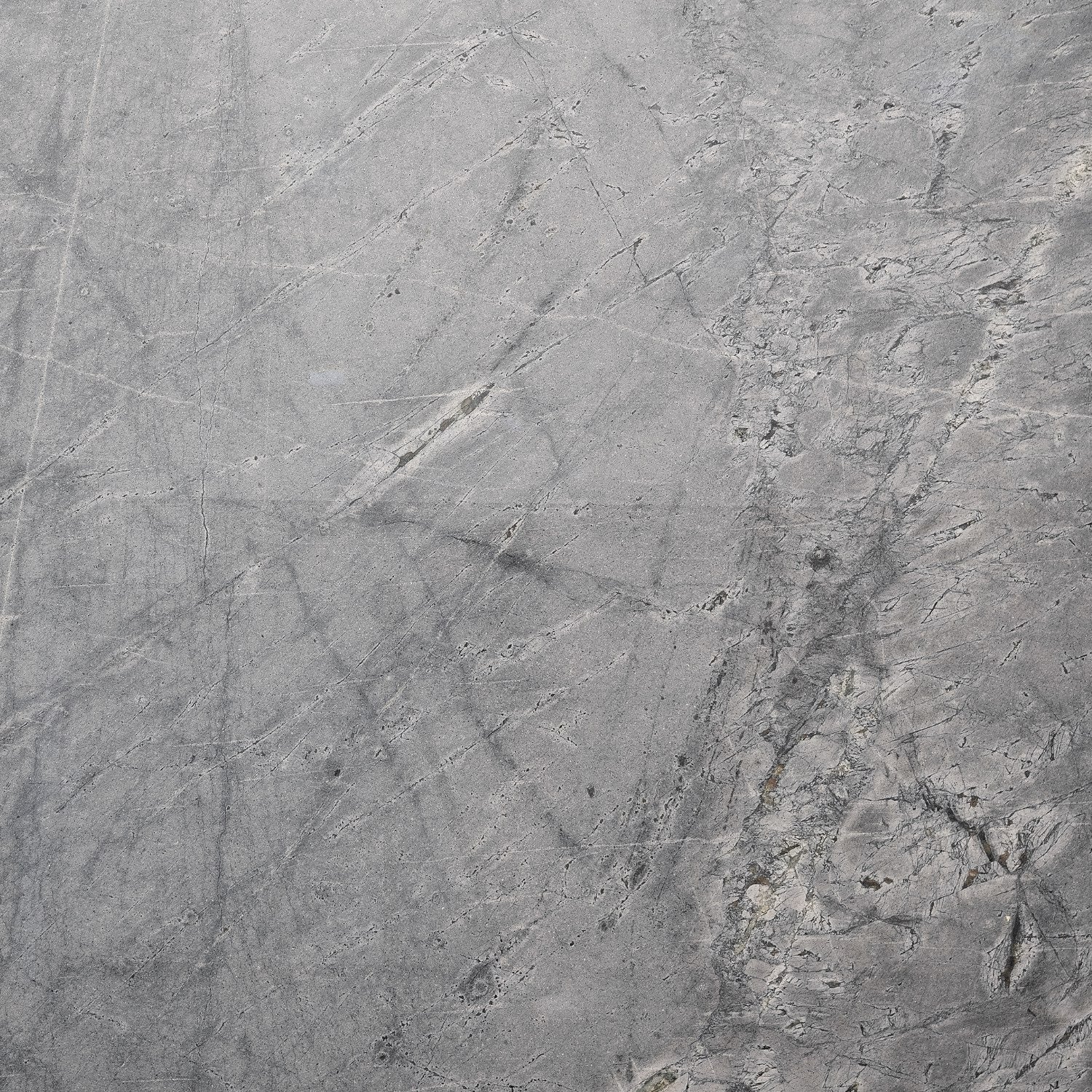 Limited Edition Prints