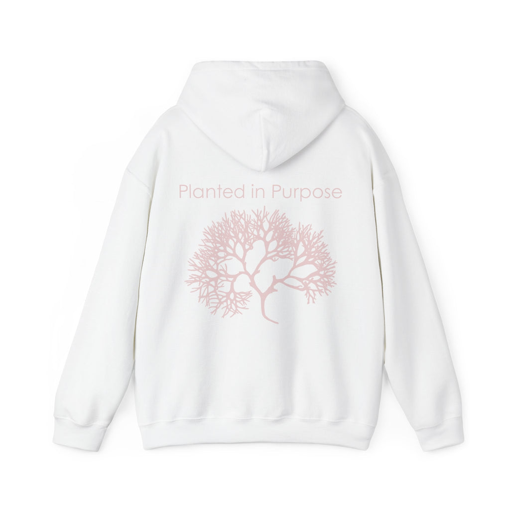 Seed Organic Hoodie - Unisex