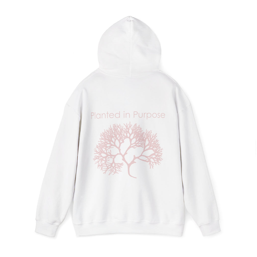 Seed Organic Hoodie - Unisex